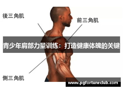 青少年肩部力量训练：打造健康体魄的关键